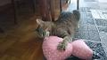 2016-05-12 16.10.30 - Inka